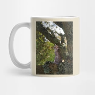 Cat Fairies: Resting Mug